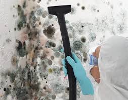 Best Environmental Consulting for Mold Prevention  in River Park, FL